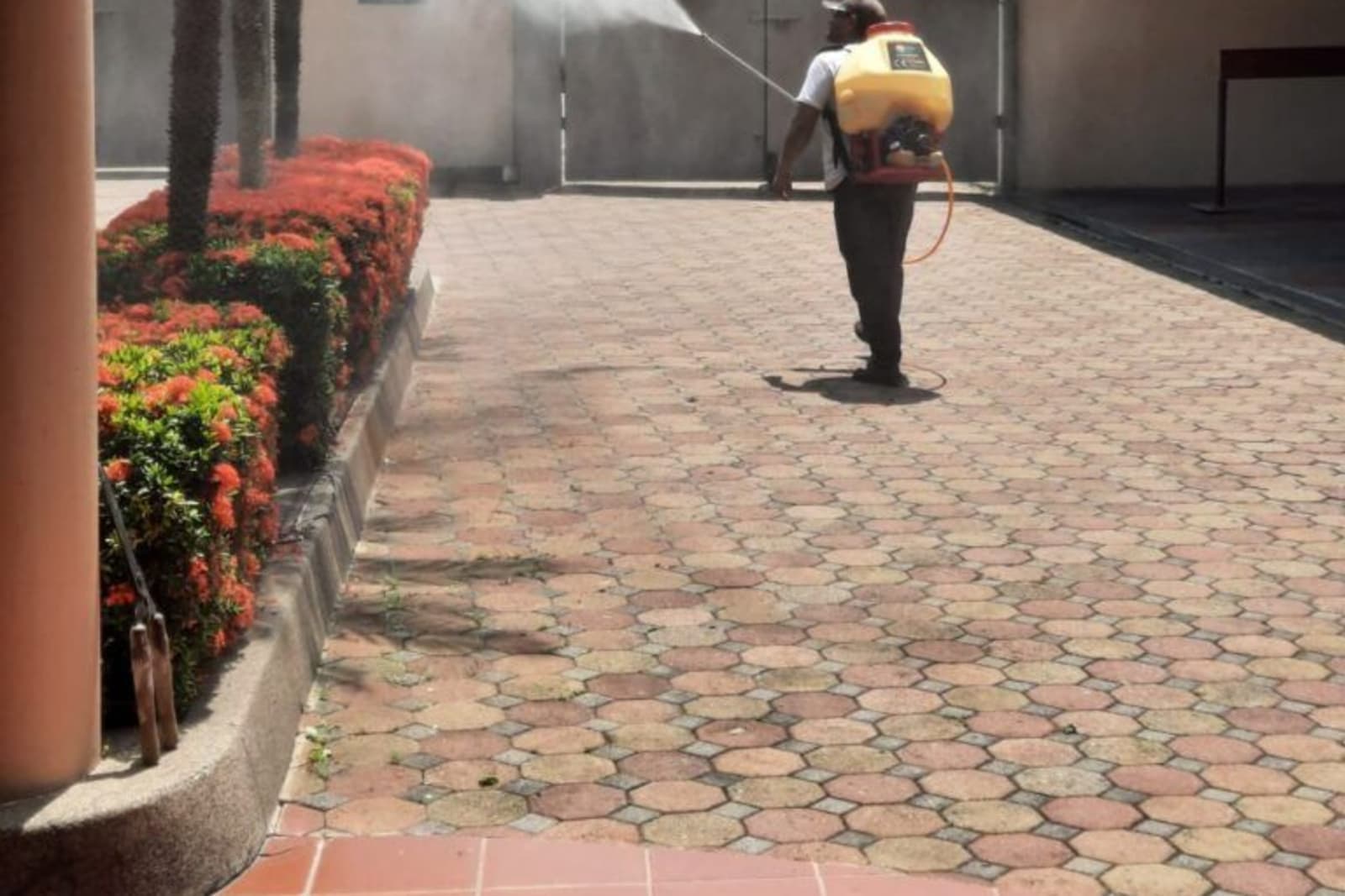 Fumigator work by Mr Ayodele Sopitan